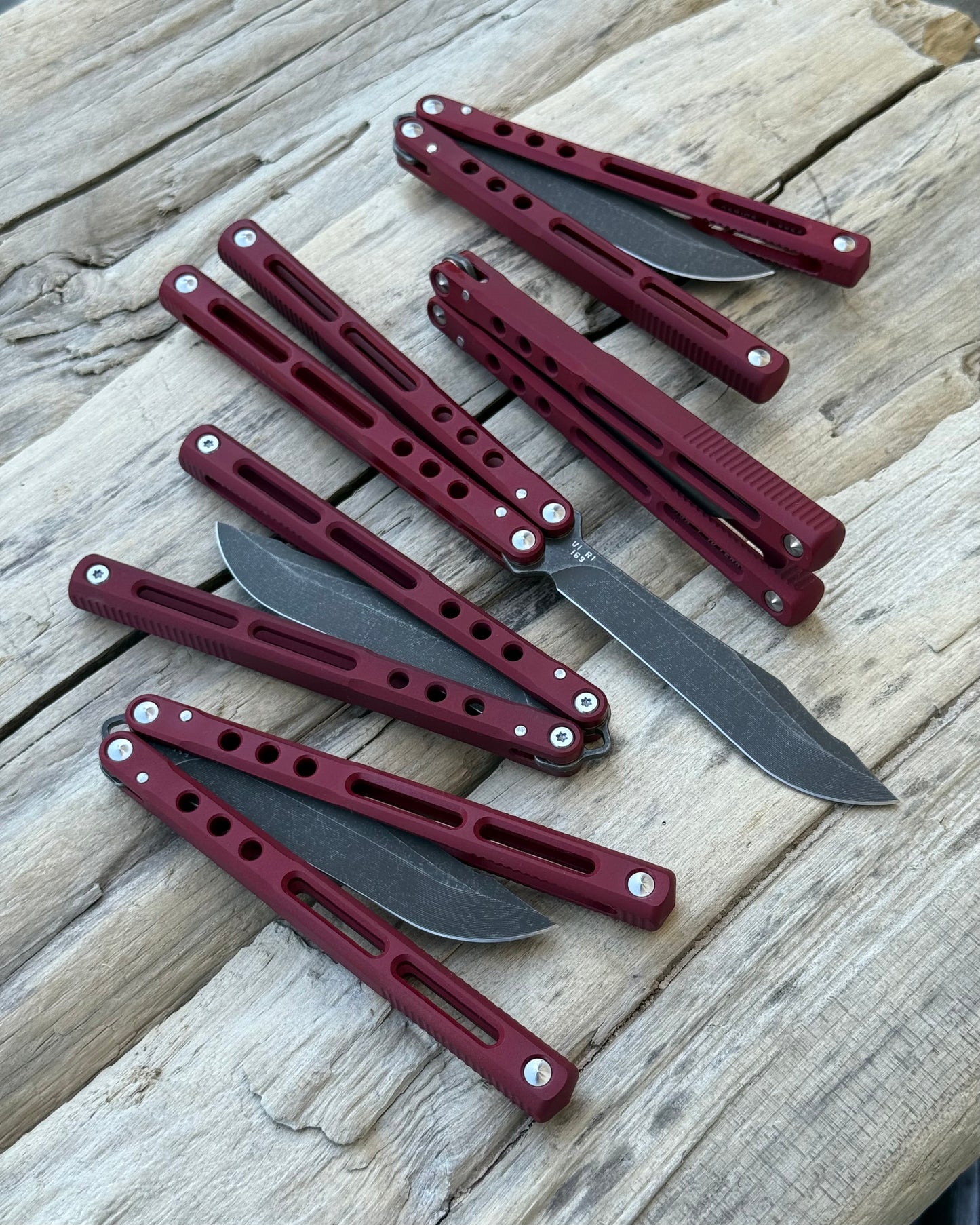 REGIME V1 R1