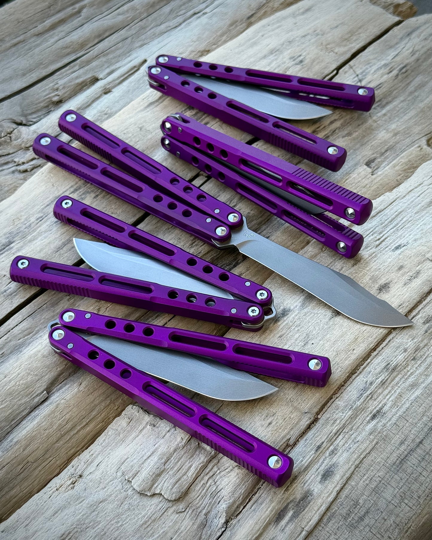 REGIME V1 R1