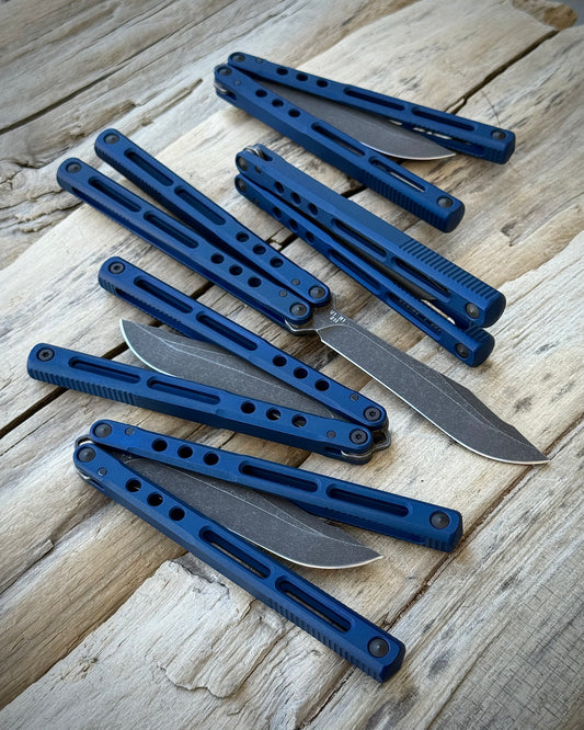 REGIME V1 R1