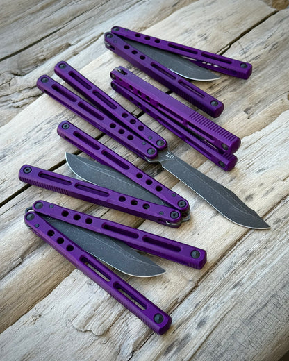 REGIME V1 R1