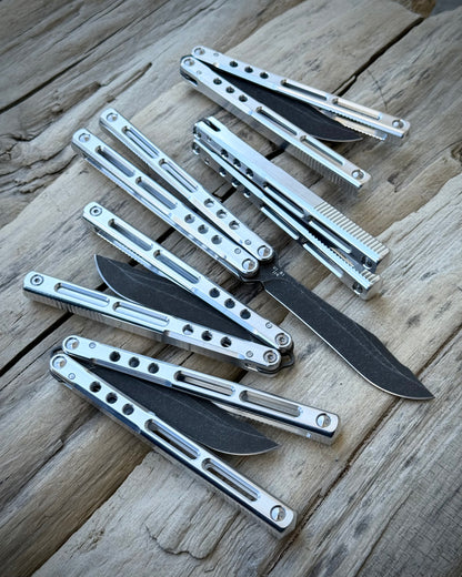 REGIME V1 R1