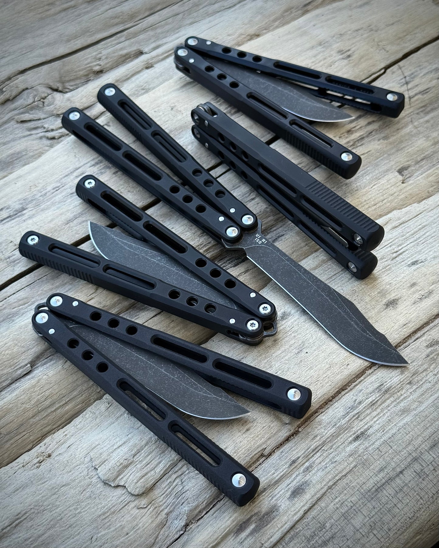 REGIME V1 R1