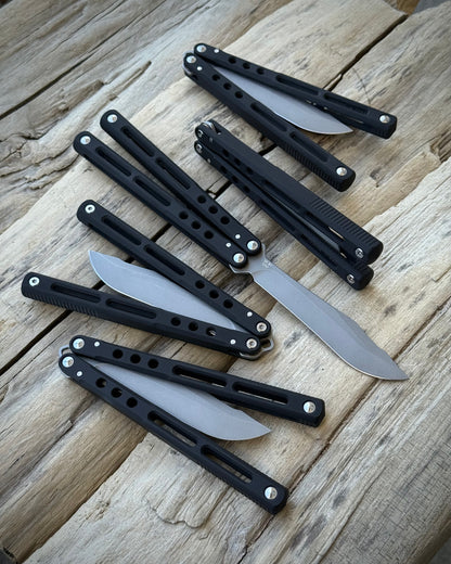 REGIME V1 R1