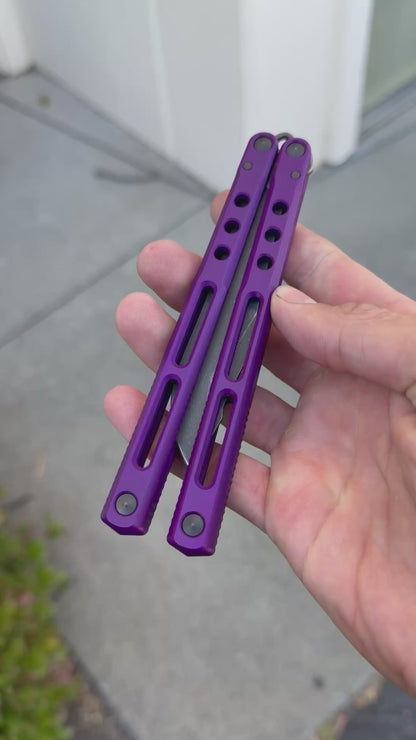REGIME V1 R1