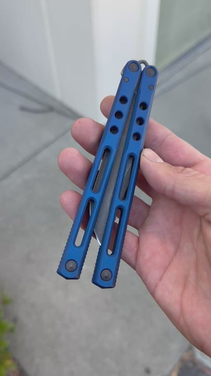 REGIME V1 R1